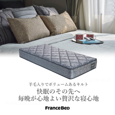 フランスベッドセットシングル　N-3000　フレーム脚付きタイプカラー選択