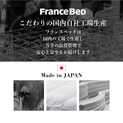 フランスベッド　マットレスのみ　セミダブル　N-1000