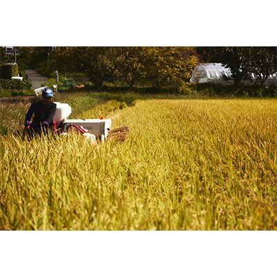 【毎月定期便】奈良の冷めても美味しいヒノヒカリ「白米5kg」全10回