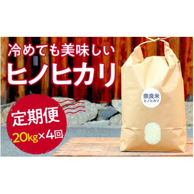 【毎月定期便】冷めても美味しいヒノヒカリ白米20kg×全4回