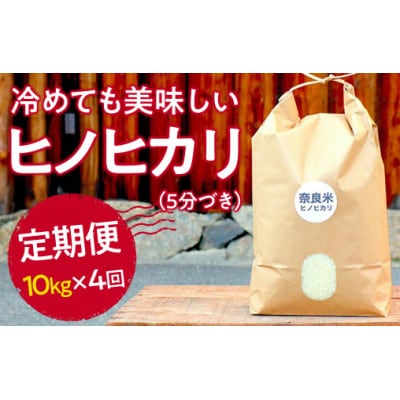 【毎月定期便】冷めても美味しいヒノヒカリ5分づき10kg×全4回