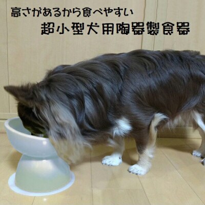 ペット用食器 超小型犬種用 陶器製食器 アイボリーホワイト 9-055 53620-5-CHOB1