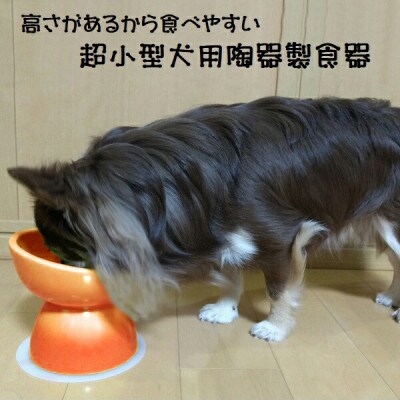 ペット用食器 超小型犬種用 陶器製食器 オレンジ 9-056 53621-2-CHOB1