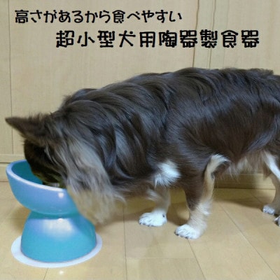 ペット用食器 超小型犬種用 陶器製食器 ミント(ブルー) 9-057 53622-9-CHOB1