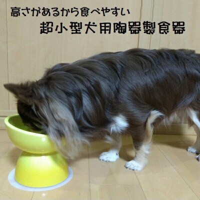 ペット用食器 超小型犬種用 陶器製食器 イエロー 9-058 53623-6-CHOB11