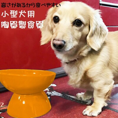 ペット用食器 小型犬用 陶器製食器 オレンジ 9-051 53627-4-CHOB2
