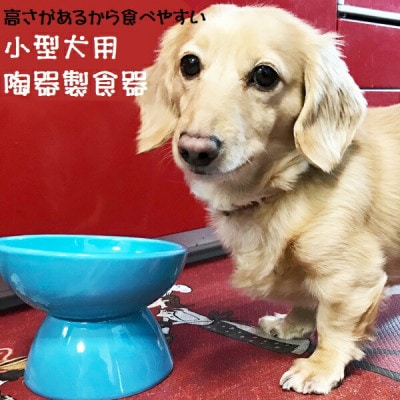 ペット用食器 小型犬用 陶器製食器 ミント(ブルー) 9-052 53628-1-CHOB2