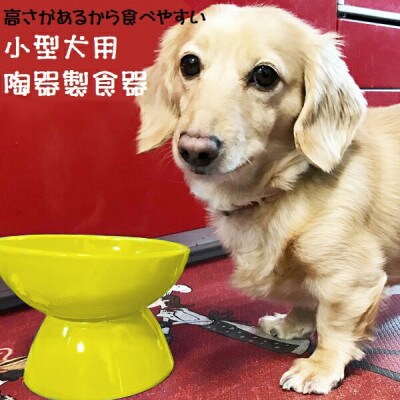 ペット用食器 小型犬用 陶器製食器 イエロー 9-053 53629-8-CHOB2