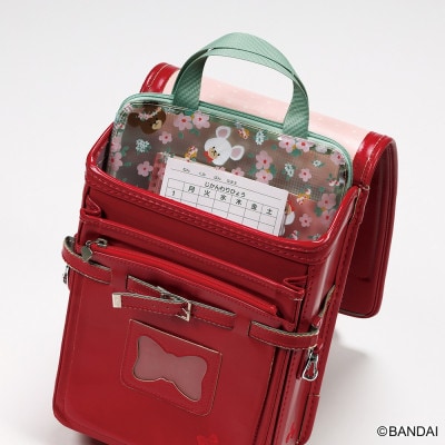 仕切り付き 連絡袋 A4 ZRF1 くまのがっこう 5-160 スケーター 661013