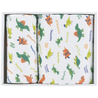 ベビー お世話 ギフトセット M SET1099 ディノサウルス 14-063 678899