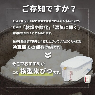冷蔵庫用 米びつ 横型 2.5kg RBI2 スモーキーブルー skt168 728822