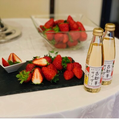 古都華サイダー200ml×24本セット