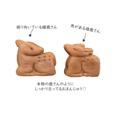 かのこ りぼん箱 8個入り 和菓子　4-006