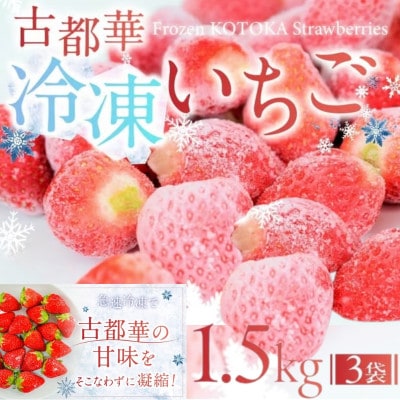 【数量限定】古都華 の 冷凍いちご 500 g ×3袋