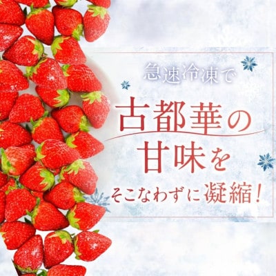 【数量限定】古都華 の 冷凍いちご 500 g ×3袋