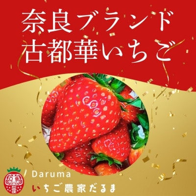 【先行受付】2026年(令和8年)1月以降順次発送 厳選古都華いちご(270g×2P) drm002