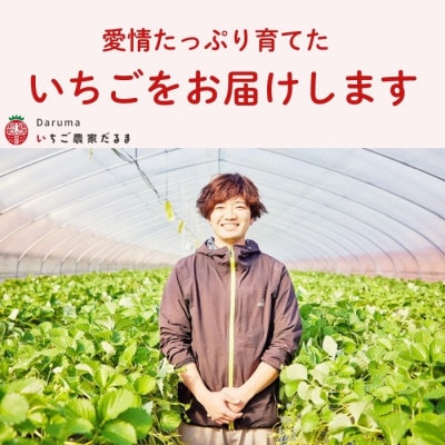 【先行受付】2026年(令和8年)1月以降順次発送 厳選古都華いちご(270g×2P) drm002