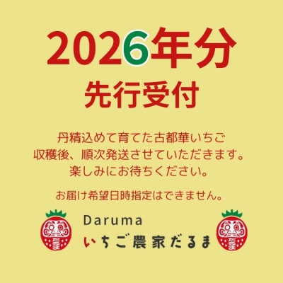 【先行受付】2026年(令和8年)1月以降順次発送 厳選古都華いちご(270g×2P) drm002
