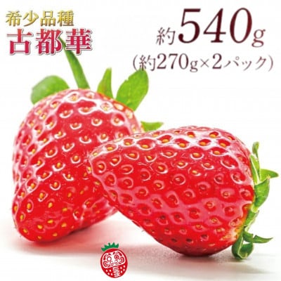 【先行受付】2027年(令和9年)1月以降順次発送 厳選古都華いちご(270g×2P) drm002
