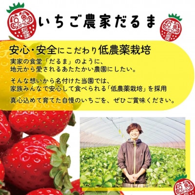 【先行受付】2027年(令和9年)1月以降順次発送 厳選古都華いちご(270g×2P) drm002