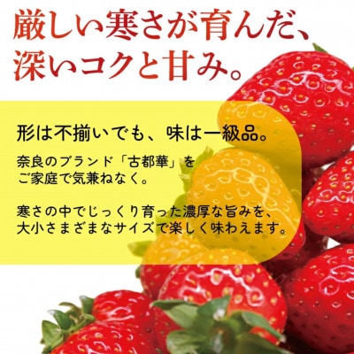 【先行受付】2027年(令和9年)1月以降順次発送 厳選古都華いちご(270g×4P) drm001