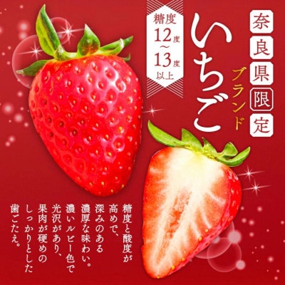 【先行受付】2027年(令和9年)1月以降順次発送 厳選古都華いちご(270g×4P) drm001