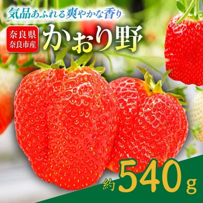 いちご かおり野 約540g(1パック約270g 2パック) 2027年発送 drm005