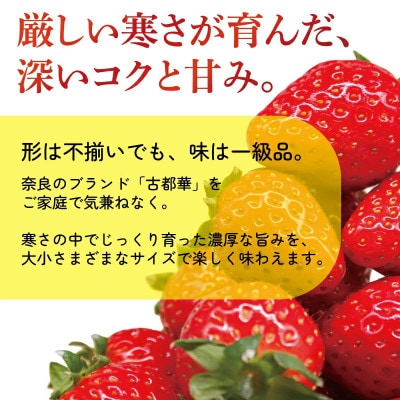【先行受付】2027年4月より順次発送 サイズ混合 古都華いちご(270g×2P) drm009