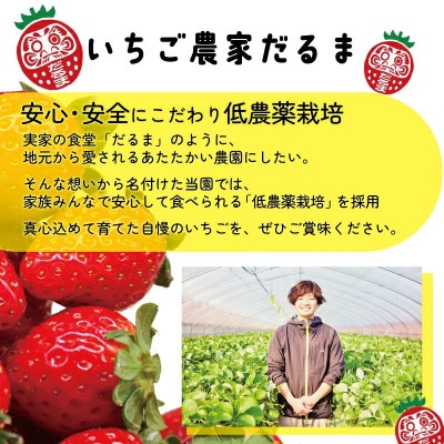 【先行受付】2027年4月より順次発送 サイズ混合 古都華いちご(270g×2P) drm009