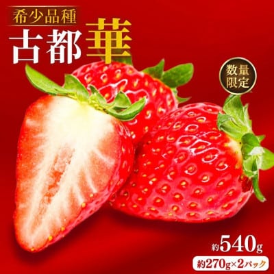 2027年発送 古都華　約540g【約270g×2パック】のぼるちゃんファーム idm001