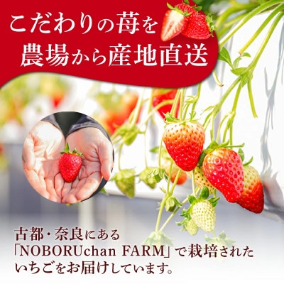 2027年発送 古都華 約1620g 【約270g×6パック】 のぼるちゃんファーム idm003