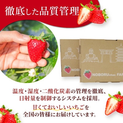 2027年発送 古都華 約1620g 【約270g×6パック】 のぼるちゃんファーム idm003
