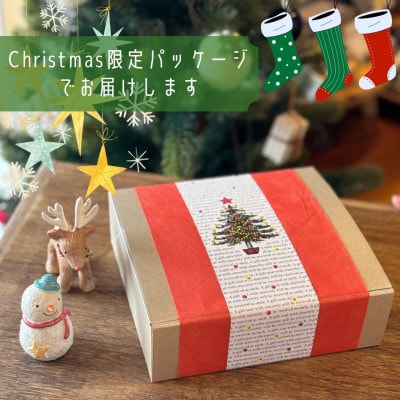 クリスマスギフトL