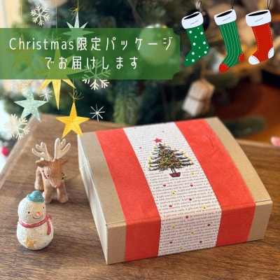 クリスマスギフトS