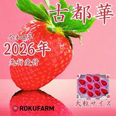【2026年1月～】奈良のプレミアムいちご「古都華」大粒サイズ 20-050