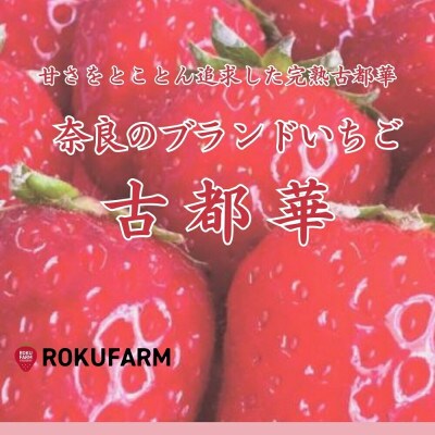 【2026年1月～】奈良のプレミアムいちご「古都華」大粒サイズ 20-050