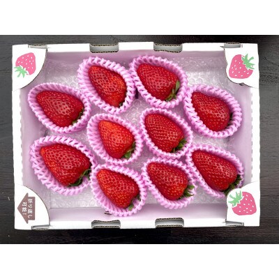 【数量限定】奈良のプレミアム苺「古都華」1箱500g 大粒 産地直送 贈答用