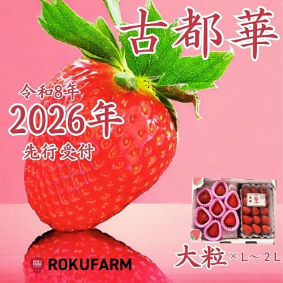 【2026年1月～】奈良のプレミアムいちご「古都華」大粒サイズとL～2Lセット 15-068
