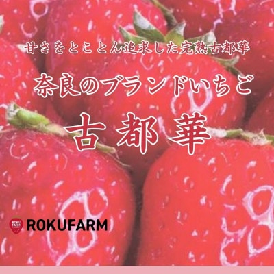 【2026年1月～】奈良のプレミアムいちご「古都華」 250g×2パック 10-205
