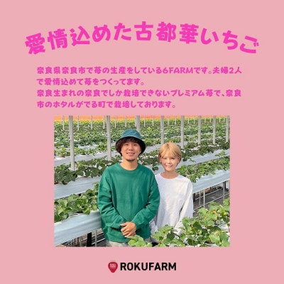 【2026年1月～】奈良のプレミアムいちご「古都華」 250g×2パック 10-205