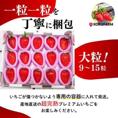 奈良のブランドいちご 古都華 (1箱 大粒サイズ)【2027年1月～順次発送】 20-050