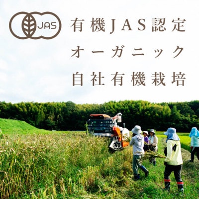 活性はとむぎ美人茶 有機 60袋入り(奈良県産・有機JAS認定・ノンカフェイン)