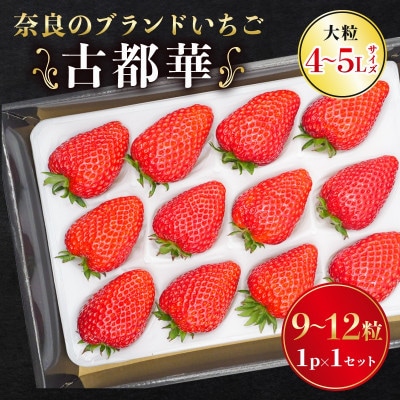 奈良のブランドいちご 古都華 1パック×1セット 大粒(4L～5Lサイズ)  kkc001