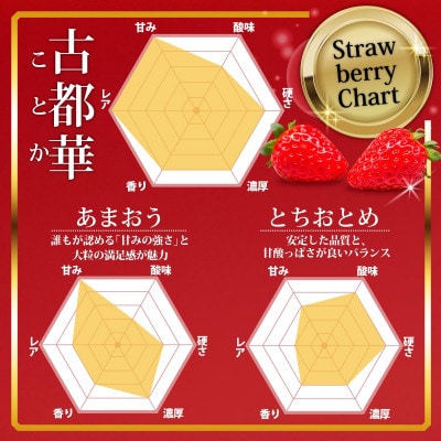 奈良のブランドいちご 古都華 1パック×1セット 大粒(4L～5Lサイズ)  kkc001