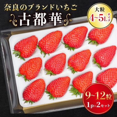 奈良のブランドいちご 古都華 1パック×2セット 大粒(4L～5Lサイズ) kkc002