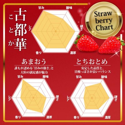 奈良のブランドいちご 古都華 1パック×2セット 大粒(4L～5Lサイズ) kkc002