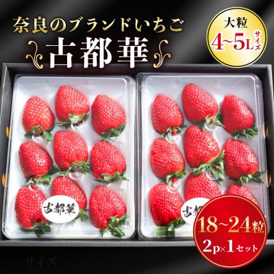 奈良のブランドいちご 古都華 2パック×1セット 大粒(4L～5Lサイズ) kkc004