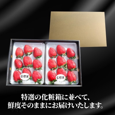 奈良のブランドいちご 古都華 2パック×1セット 大粒(4L～5Lサイズ) kkc004