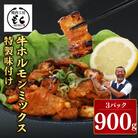 牛ホルモンMIX 900g 味付け(たれ) 小分け 奈良県 奈良市 5-025