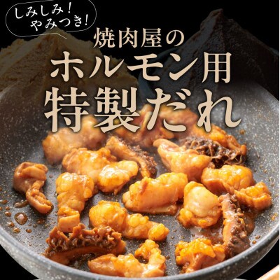 牛ホルモンMIX 900g 味付け(たれ) 小分け 奈良県 奈良市 5-025